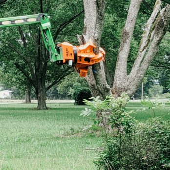Big Green Tree Machine - Tree Services Near Me - Daphne, Alabama