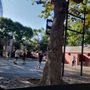 Photo of Rappaport Playground