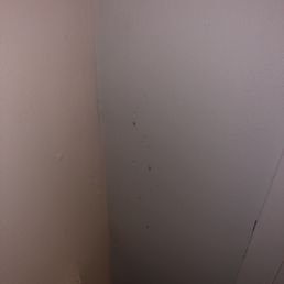 Black mold on the wall. Black mold on the wall.