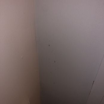 Sandcastle Motel - Black mold on the wall. - Hotels Near Me - Rehoboth Beach, Delaware Sandcastle Motel - Black mold on the wall. - Hotels Near Me - Rehoboth Beach, Delaware