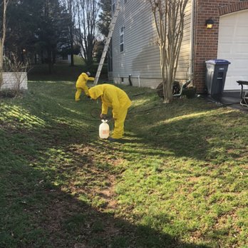 Color hands Services - Painters Near Me - Manassas, Virginia Color hands Services - Painters Near Me - Manassas, Virginia