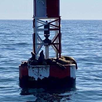 Oceanside Adventures - Boat Charters Near Me - Oceanside, California Oceanside Adventures - Boat Charters Near Me - Oceanside, California