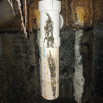 A. Bailey Septic and Sewer - Roots are really bad for your field lines - Septic Services Near Me - Dawsonville, Georgia A. Bailey Septic and Sewer - Roots are really bad for your field lines - Septic Services Near Me - Dawsonville, Georgia