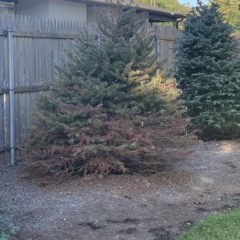 Steve's Tree Service - Tree Services Near Me - Byfield, Massachusetts Steve's Tree Service - Tree Services Near Me - Byfield, Massachusetts