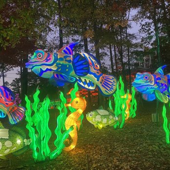 Chinese Lantern Festival - Festivals Near Me - Cary, North Carolina