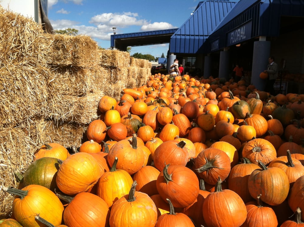 STONERIDGE PIGGLY WIGGLY LITTLE CHUTE Updated September 2024 14