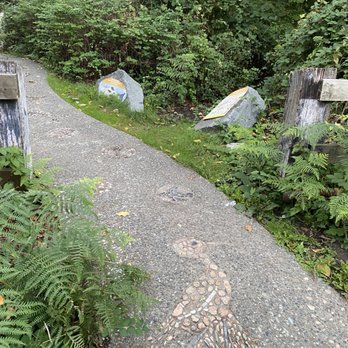 Renfrew Ravine Park - Parks Near Me - Vancouver, British Columbia Renfrew Ravine Park - Parks Near Me - Vancouver, British Columbia