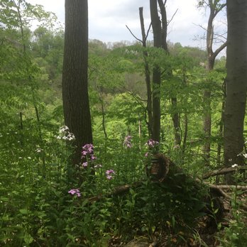 Stackhouse Park - Parks Near Me - Johnstown, Pennsylvania