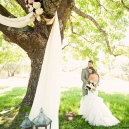 Ceremony Tree.  Photo by Ashley Maxwell
