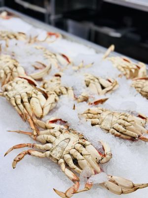 Tony's Fish Market by null