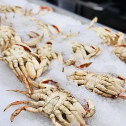 Tony's Fish Market