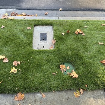 Carmelo's Crew Landscaping - After the job was done. - Landscaping Near Me