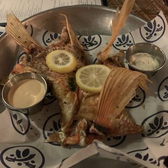 Southerleigh - Snapper Throats - Breweries Near Me - San Antonio, Texas