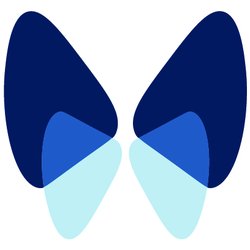 Upstate Lung & Critical Care Specialist