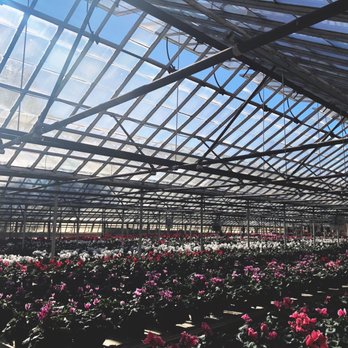 AJ Rahn Greenhouses - Nurseries & Gardening Near Me - Cincinnati, Ohio AJ Rahn Greenhouses - Nurseries & Gardening Near Me - Cincinnati, Ohio