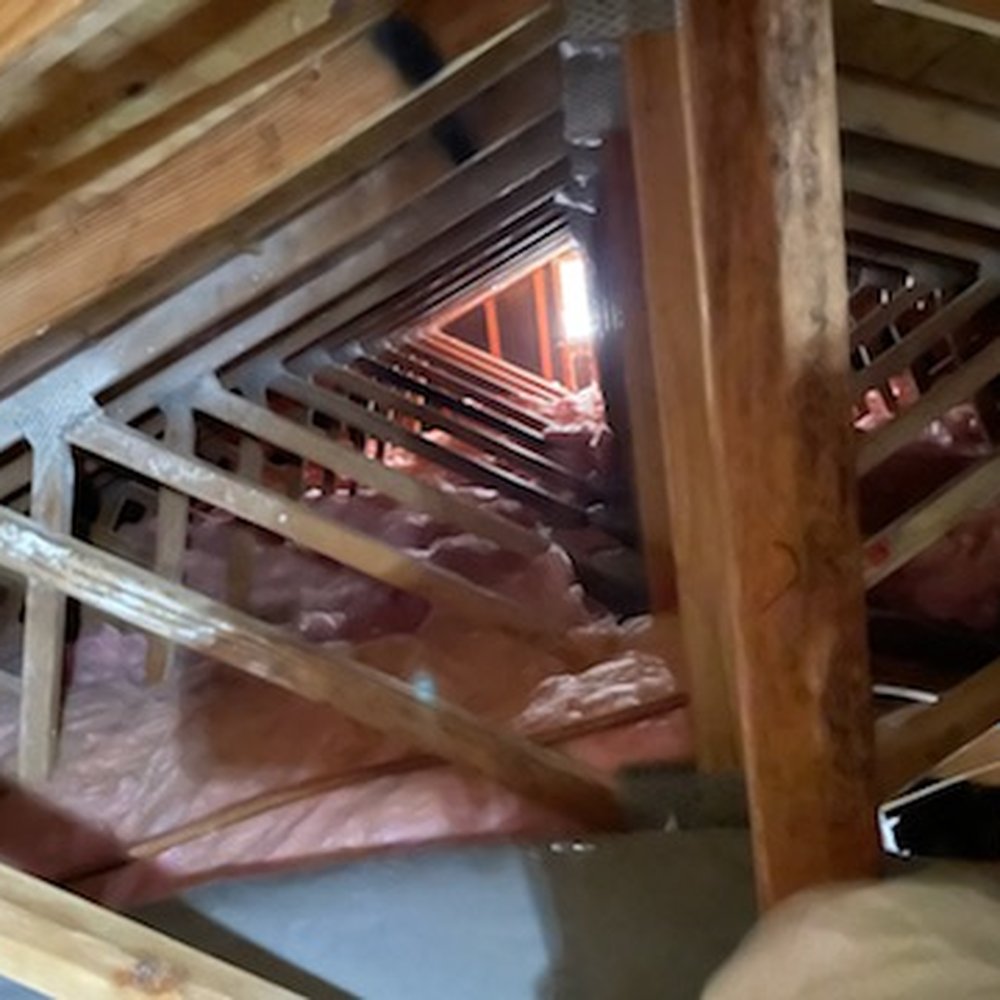 Attic Advisor - Attic with new insulation. White powder from termite people. - Insulation Installation Near Me - Carlsbad, California Attic Advisor - Attic with new insulation. White powder from termite people. - Insulation Installation Near Me - Carlsbad, California