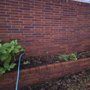 Photo of Hurst Pressure Washing
