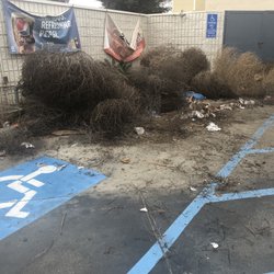 This is how She'll treats their handicap customers. They sweep the trash in the handicap parking space.