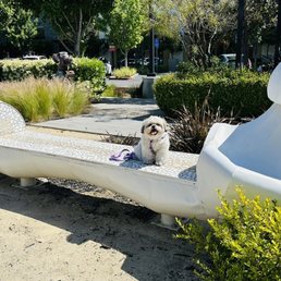 Dog bones shaped bench