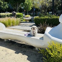 Village Green Dog Park - Dog bones shaped bench