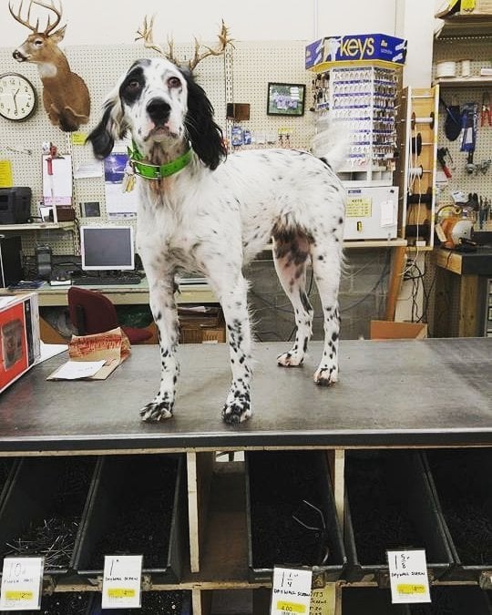 ROSENBERG TRUE VALUE HARDWARE Updated August 2024 1164 E Wilcox Ave