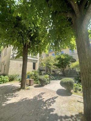 Curie Museum by null