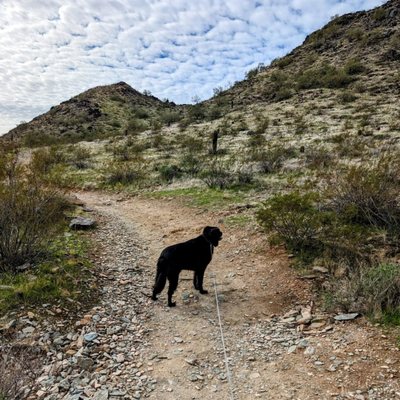 North Mountain Park by null