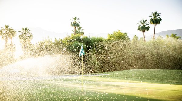 Desert Island Country Club by null