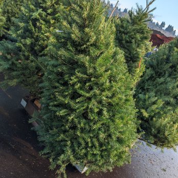 Carpinito Brothers - Nurseries & Gardening Near Me - Kent, Washington