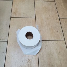 Disgusting.... toilet paper on the FLOOR! Disgusting.... toilet paper on the FLOOR!