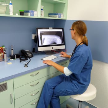 SmartVet - Veterinarians Near Me - Hanover, NI