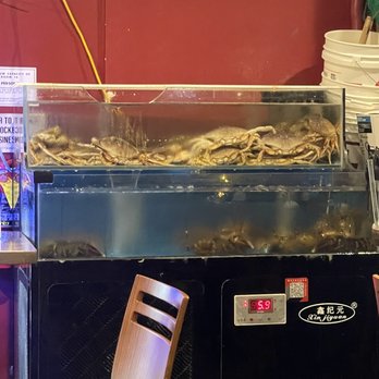 King Restaurant & Bar - Live seafood - Bars Near Me - Honolulu, Hawaii King Restaurant & Bar - Live seafood - Bars Near Me - Honolulu, Hawaii