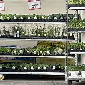 Bi-Mart - Roseburg - Plants reading to grow!! - Drugstores Near Me - Roseburg, Oregon Bi-Mart - Roseburg - Plants reading to grow!! - Drugstores Near Me - Roseburg, Oregon