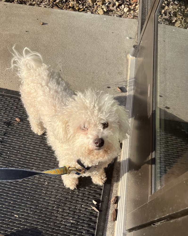 NEMACOLIN WOOFLANDS PET CARE CENTER Updated July 2024 17 Photos