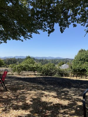 Springhill Cellars Winery (Open May-December) by null