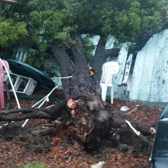All Access Tree Care - Tree Services Near Me - El Cajon, California All Access Tree Care - Tree Services Near Me - El Cajon, California