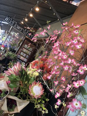 Wildflower & Fern by null