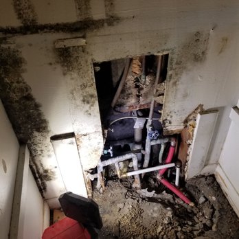 Mager Enterprises - Mold out of control. Good bless this wonderful group of hard workers. - Damage Restoration Near Me - Indianapolis, Indiana Mager Enterprises - Mold out of control. Good bless this wonderful group of hard workers. - Damage Restoration Near Me - Indianapolis, Indiana