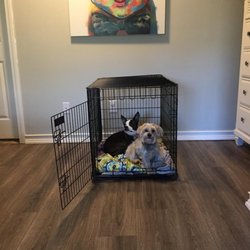 Just Like Home Dog Sitting