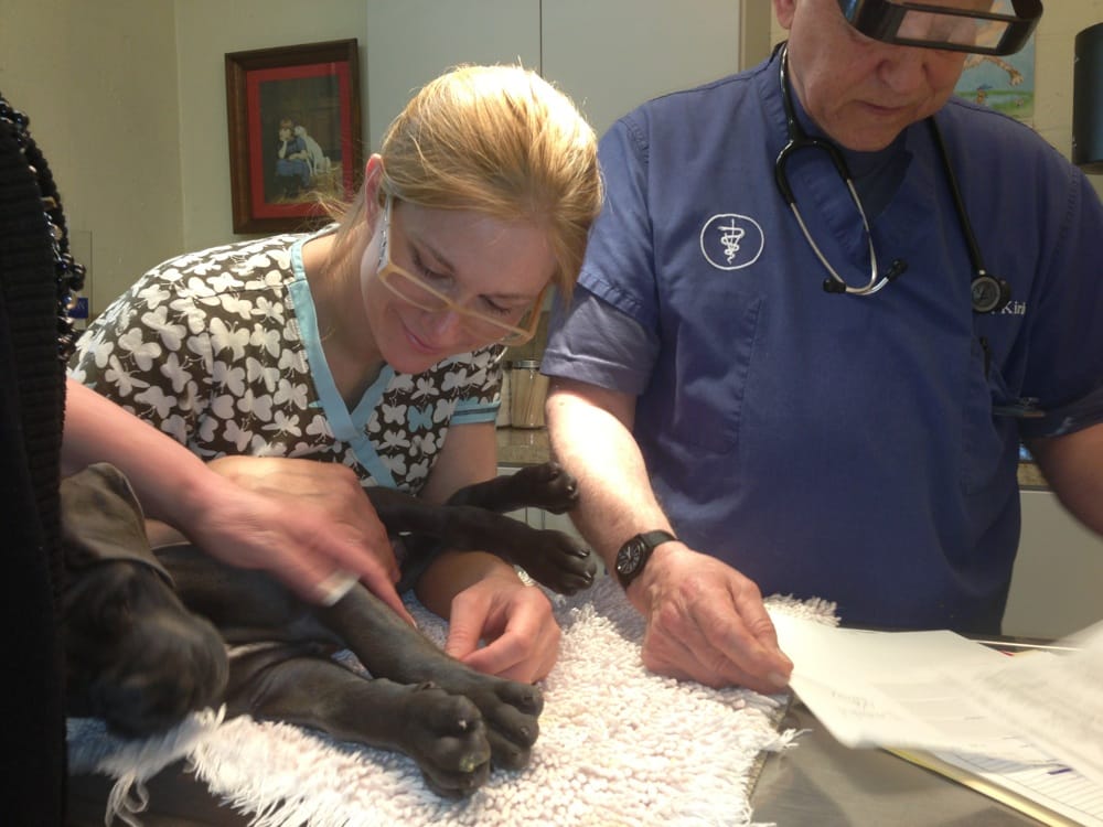 GIG HARBOR VETERINARY HOSPITAL 18 Reviews Veterinarians 5606