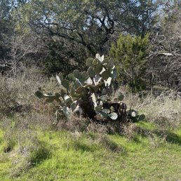 Cactus Trail Cactus Trail