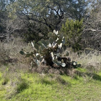 McKinney Falls State Park - Cactus Trail - Parks Near Me - Austin, Texas McKinney Falls State Park - Cactus Trail - Parks Near Me - Austin, Texas