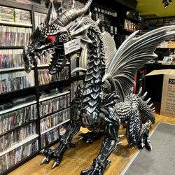 Polyhedron Gamestore - New Dragon!!! Pet it on the nose for good luck!