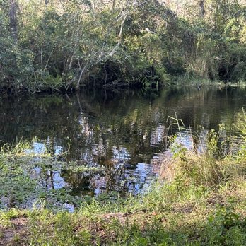 CREW - Bird Rookery Swamp - Parks Near Me - Naples, Florida