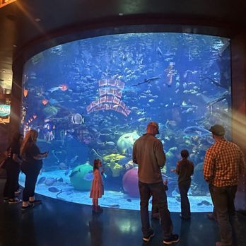 Bass Pro Shops - Outdoor Gear Near Me - Las Vegas, Nevada