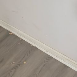Sunrise Inn - Dirty floors with leaves.