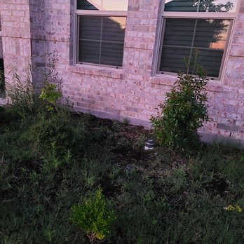 JIT Landscape and Design - Before shot - Tree Services Near Me JIT Landscape and Design - Before shot - Tree Services Near Me