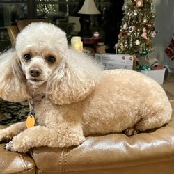 Davis Veterinary Hospital - Ruby!!