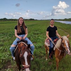 Horse Life Miami