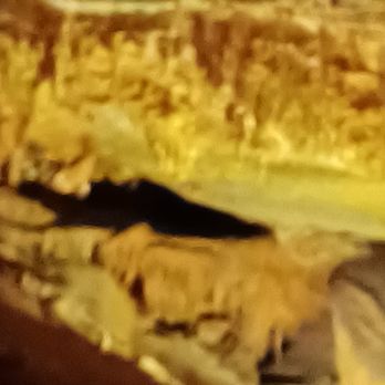 Grand Caverns - Historical Tours Near Me - Grottoes, Virginia